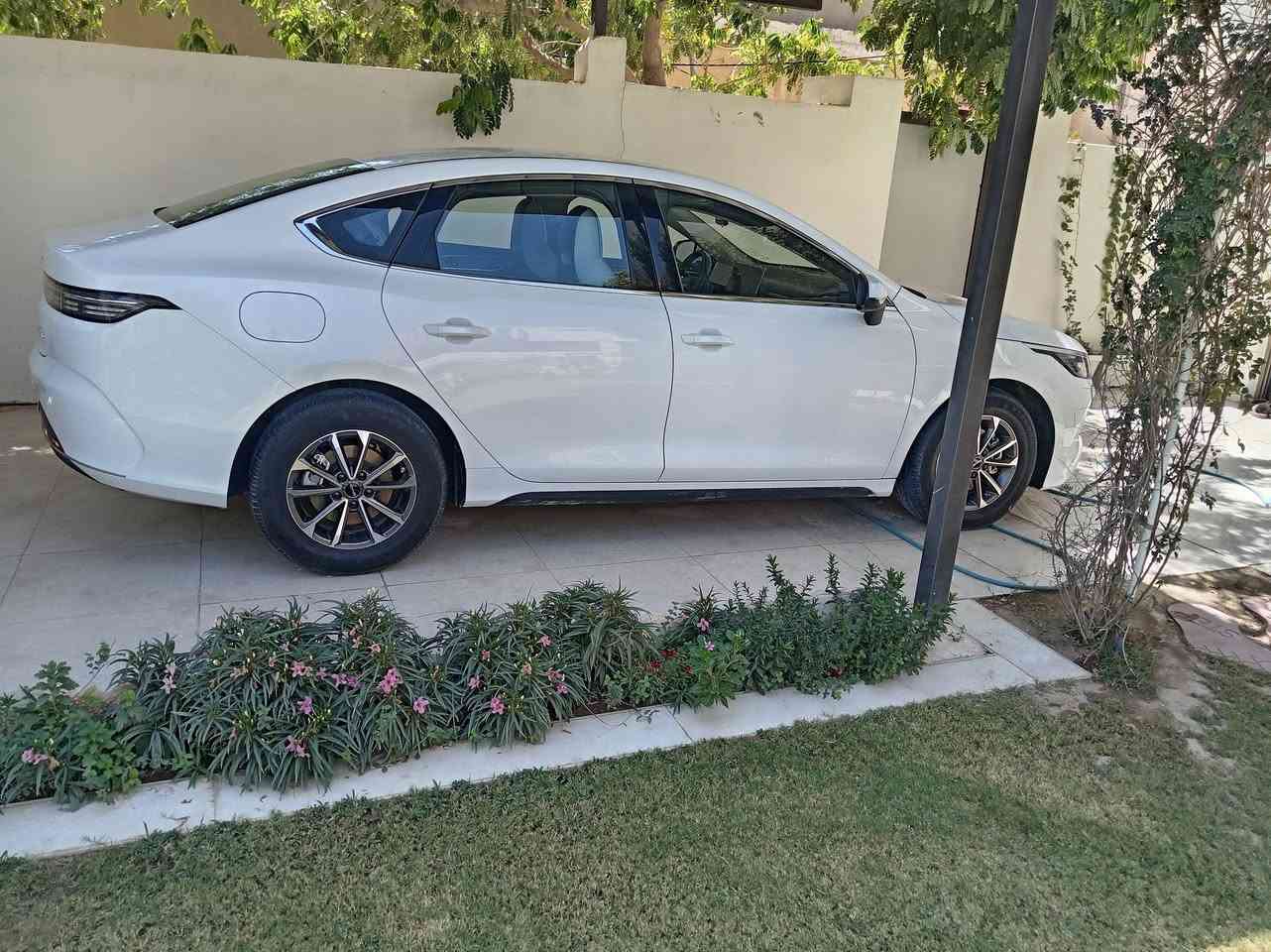 ديستروي ٢٥ وضع الزيروا كفاله عامه رقم بغداد مالكها بغداد السعر ٢٠٥٠٠ اتصال ***********
