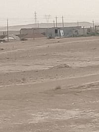 شيخ حديد • ٢٥ دونم • كهرباء ومي