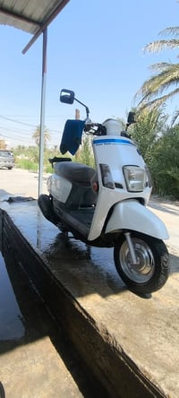 بوليس مصطره • نضيفه • طوريج