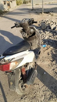 سكنس فحل بيضه • بريك خلفي • فلوجه