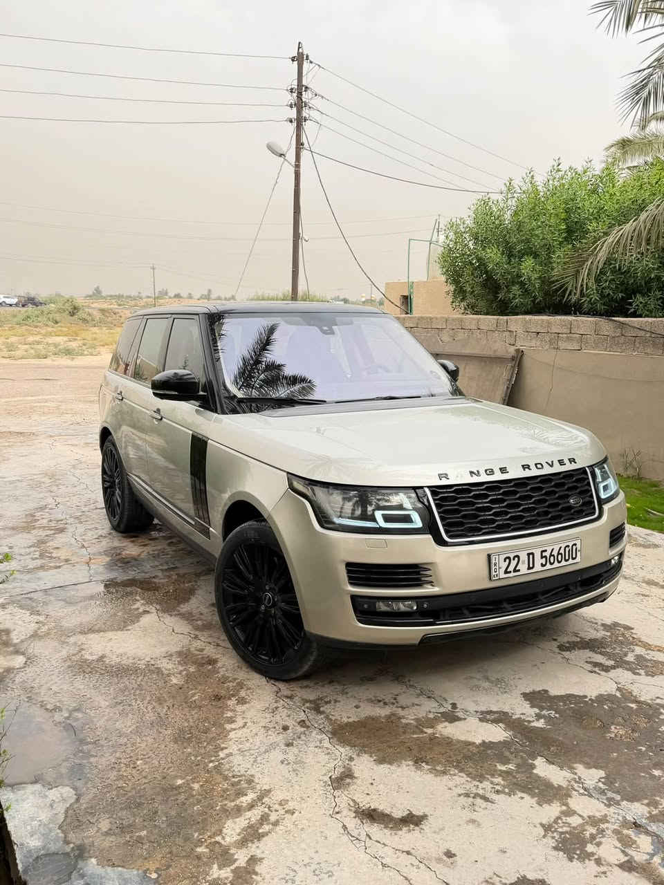 رانج • ٢٠١٣ • رقم اربيل