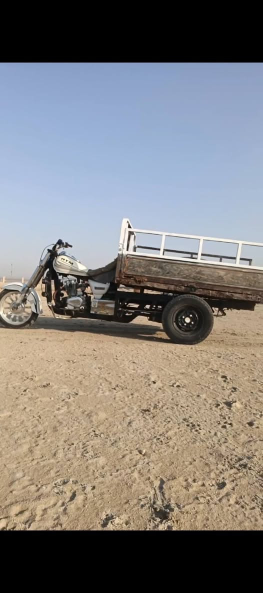 ستوته • موديل ١٤ • أوراق