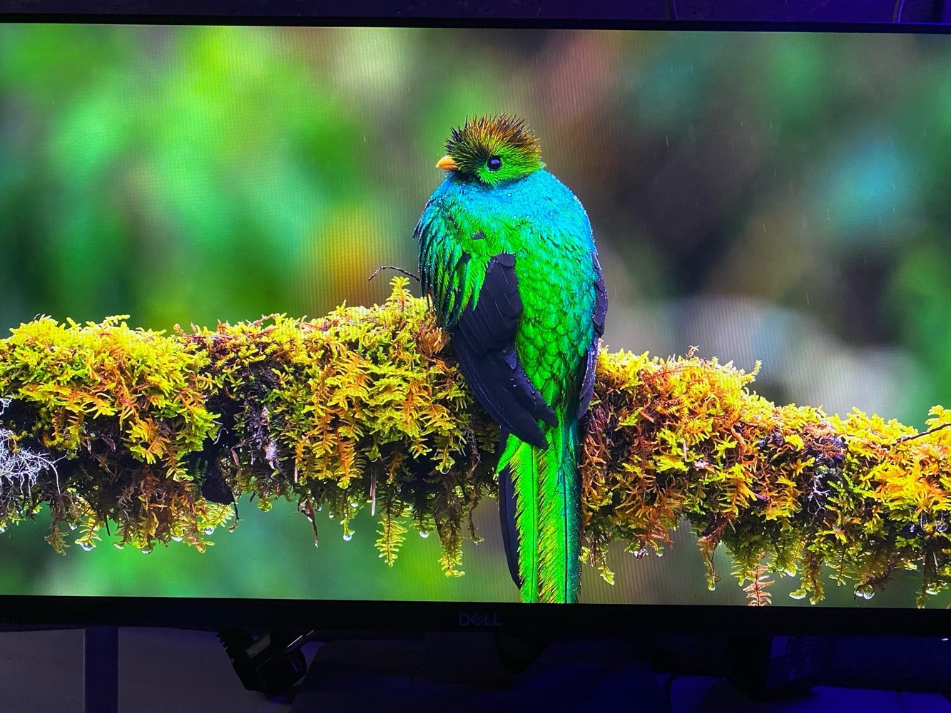 كيس اقتصادي +شاشه dell 
📢 للبيع: جهاز كمبيوتر متكامل (كيس + شاشة Full HD) للألعاب والتصميم والدراسة

🖥️ المواصفات:



 الموديل: Dell Precision Tower 3620 (كيس أورجينال قوي وتحمّل عالي).



  



 المعالج (CPU): Intel Core i5-6500 (الجيل السادس) بتردد 3.20GHz. 



 



 الرام (RAM): 8GB DDR4 بسرعة 2133MHz.



  



 كرت الشاشة (GPU): NVIDIA GeForce GTX 1650 بحجم 4GB (قوي وممتاز للألعاب والبرامج).  



 التخزين (Storage):



 هارد SSD سريع للنظام بحجم 238GB.  



 هارد إضافي HDD بحجم 298GB للتخزين.



 الشاشة: شاشة ملحقة بدقة Full HD (1080p)



 النظام: ويندوز مثبت وجاهز للاستخدام.  



🎮 استخدامات الجهاز:



 تشغيل معظم الألعاب الشهيرة بأداء ممتاز (PUBG, GTA V, Valorant, CS:GO, League of Legends, Fortnite).



 ممتاز لبرامج التصميم والمونتاج (Photoshop, Illustrator, Premiere).  



 ممتاز جداً للدراسة والأعمال المكتبية والتصفح السريع.



💰 السعر: 420 ألف دينار (وبيها مجال بسيط للشراي الجاد). وياها ماوس وكيبورد



مكاني بغداد🔴