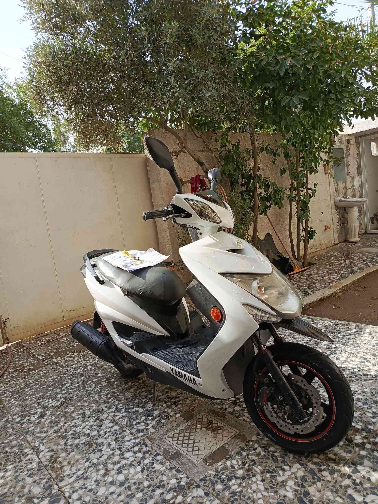 سكنس فحل • ٢٠١٣ • مكفول