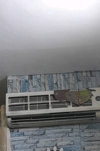 طنين • شغال بدون مشاكل • بغداد الشعله
