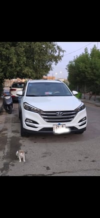 توسان خليجي • ٢٠١٨ • واسط/كوت