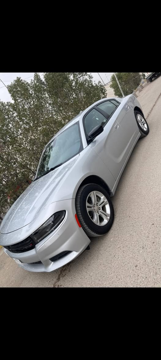 جارجر SXT • ٢٠٢٣ • بدون رقم