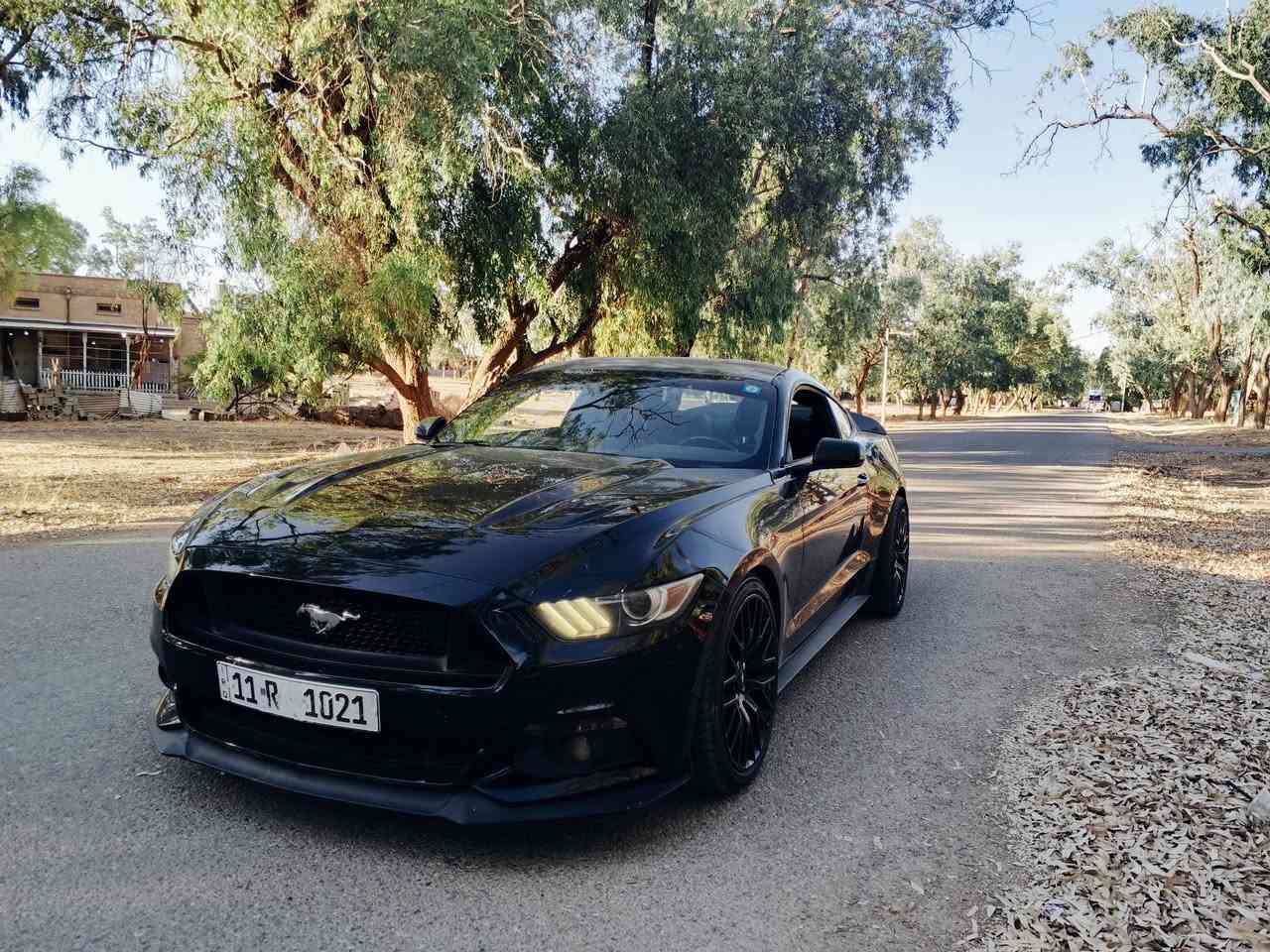 للبيع موستنك جي تي 2016
بسعر مناسب
رقم لوحه مميز 11R 1021
ماشيه 67 km حقيقي
كير عادي

كلج مكلاود

شوته روش

دبه مي رياضي

راديتر مشيموتو دبل مراوح

بلكات رياضي

ثلاجه 2022

غرفه 2022

فجوج بريمبو

لويات امامي ايباخ رياضي

هيدرز امريكان ريسنك

دبل اكس بايب

اكزوز فورتك

اكزوز ريمونت

تبات كورسا

ستيرن كاربون فايبر

دشبول تغطيس كاربون فايبر

عداد تراك بكج بالدشبول

مضخم صوت

عدادات السرعه متغير اللون

الحادث جاملغين والقمارة بي تعديل بارد
*********** واتس اب
