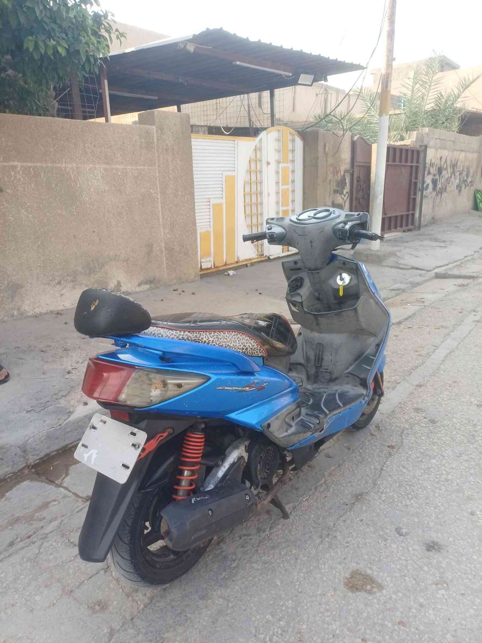 سكنس فحل • كابريتر • بلاديه