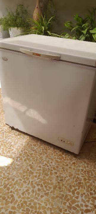 نوع رويال  ١٢ قدم مابيها شي بس زغيرة علينا نهايتة ٩٠ عنوان يارمجة ***********
