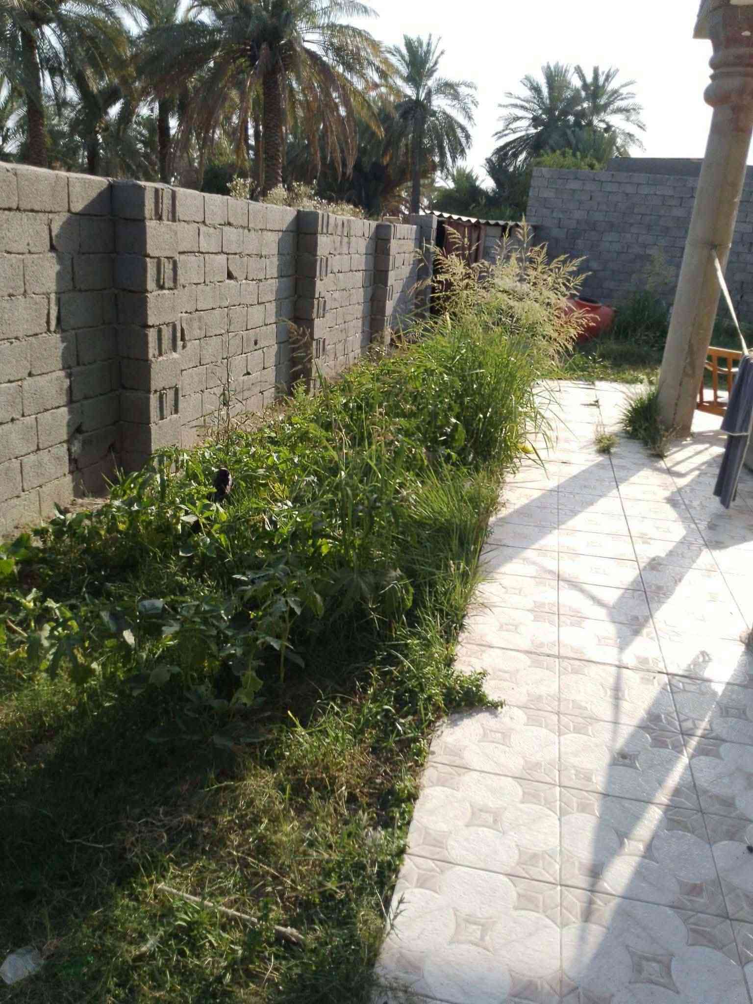 سلام عليكم بيت البيع
البيت زراعي 
المساحه 600 البناء 230 درجه اولى
 البناءالسقوف صب كونكريت درجه اولى الشغل
الموقع محاويل حي ابوسديره 
مكلف بيه 
سعر ٧٠وبيه مجال 
***********
