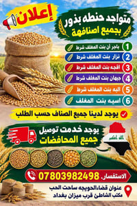 بذور حنطة • حسب الطلب • توصيل محافظات