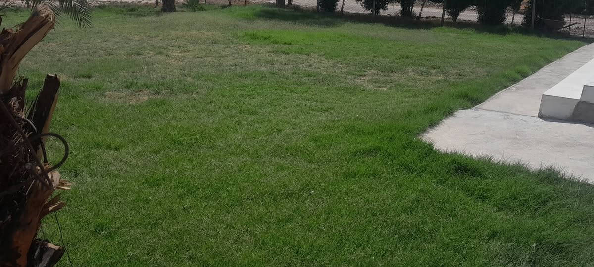 يوجد بيت مساحته بحدود 700 متر وصحيات داخليه 
مع 2دونم ونص تقريبا + حوش كبير 
ومع مضيف خارجي +حديقة كبيره وصحيات 
على طريق كوت - الحي 
مقابيل مدرسه اليقين الابتدائية - قريه الزركان 
للاستفسار أكثر الاتصال على الرقم (متوفر واتساب ***********)
