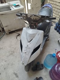 سكنس ثعلب • شغاله • تمشي