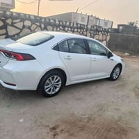 كورلا ٢٠٢٤ • رقم اربيل • كربلاء