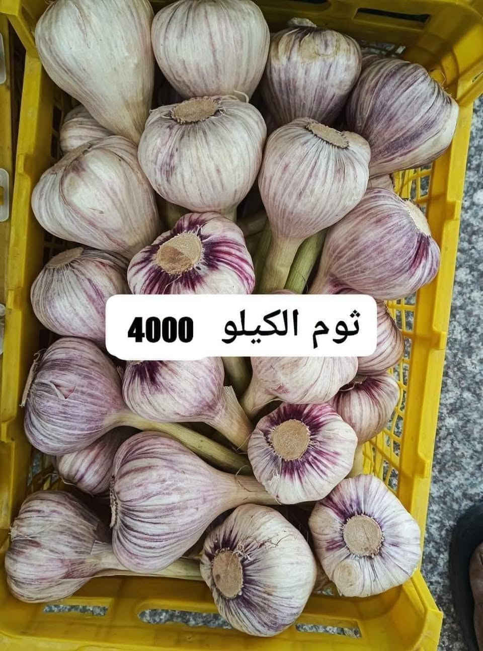 خضرة وفواكه • توصيل • الكوت شارع الزيتون