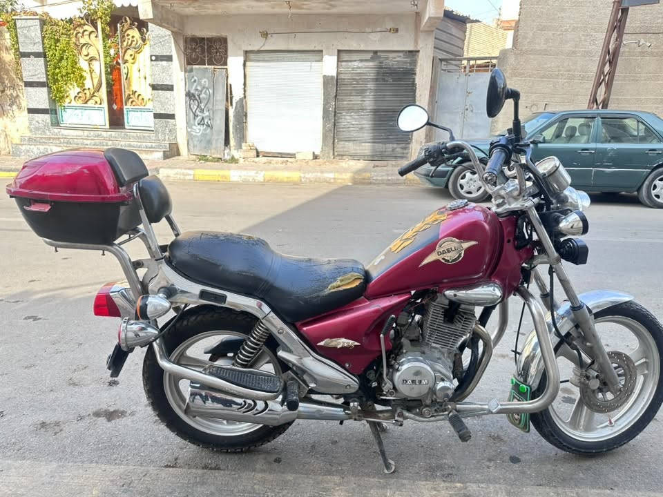 دايلم • نضيف • مراوس ستوته