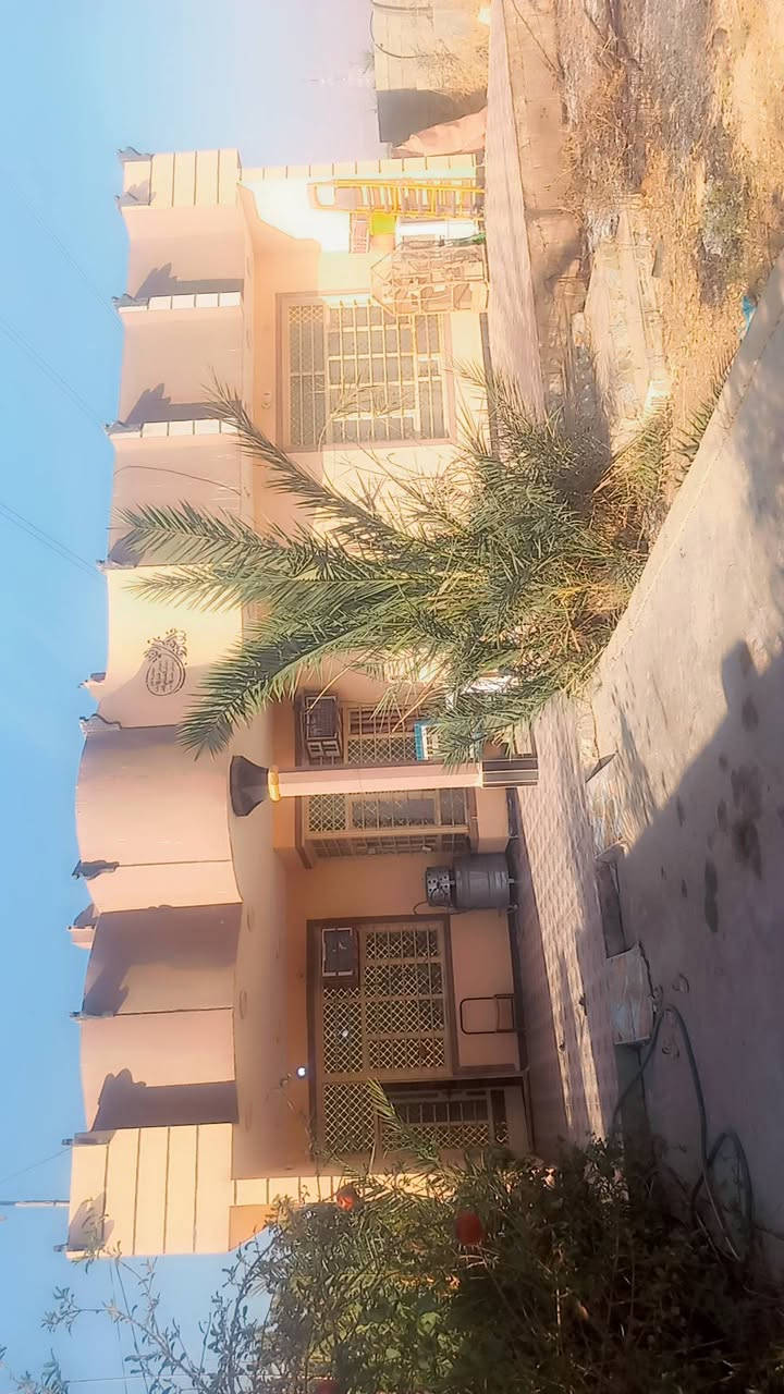 دار • دونمين • المحمودية الاسود