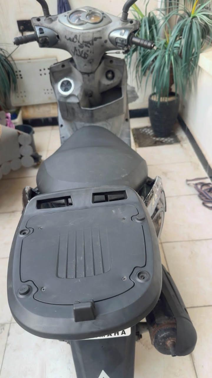سكنس فحل • كابريتر • كفالة