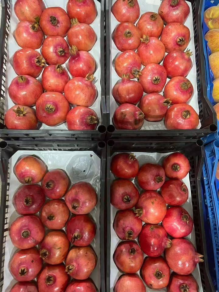 🌿✨ بسم الله ما شاء الله، تبارك الرحمن ✨🌿
🍎 #السبت_19_أيلول
❤️ أهلنا وزبائننا الغالين... الطازج اللي تختاره لعائلتك، نختاره لك بعناية من علوة فاكهة الأندلس الإلكترونية 🍓🥬
🍇 فواكه وخضراوات طازة وفريش يومياً 🥑 تشكيلة واسعة من الأصناف اللي تطلبوها 🍎 اختيار بعناية وجودة نحرص عليها 🥗 وتجهيز حسب طلبكم واحتياجكم
مو مجرد خضار وفواكه... نحن نهتم بالاختيار حتى توصلكم منتجات تستحق ثقتكم ❤️
🚚 اطلبوا من مكانكم... وإحنا نجهز طلبكم ونوصله لباب البيت.
📲 للطلب والاستفسار ومعرفة الأسعار عبر الواتساب: ***********

https://wa.me/c/9647740945035
✨ علوة فاكهة الاندلس الإلكترونية الطازج دائماً له عنوان 🌿

نص مكتوب في الصور:
- بسم الله ما شاء الله تبارك الرحمن السبت 19 ايلول #السبت_19_ايلول علوة فاكهة الأندلس الإلكترونية الجودة التي تستحقها عائلتكم... تبدأ من علوة فاكهة الاندلس لتجهيز الخضراوات والفواكه نختار لكم أجمل وأطازج أنواع الخضراوات والفواكه بعناية، لأننا نؤمن أن الطعم الحقيقي يبدأ من جودة المنتج طزاجة يومية أجود الأصناف اختيار بعناية مذاق يستحق التجربة جودة تليق بثقتكم لا نبيعكم مجرد خضار وفواكه... نقدم لكم اختياراً يليق بذوقكم وثقتكم بنا للطلب والاستفسار ولمعرفة الأسعار علي الواتس اب https://wa.me/c/9647740945035 ...لأن الطازج دائماً له عنوان..