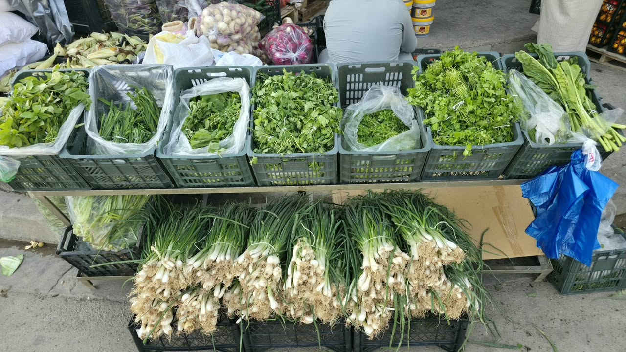 خضار وفواكه • طازج • جملة