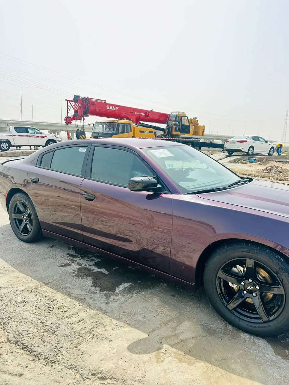 ٢٠٢١ • عنابي • رقم اربيل