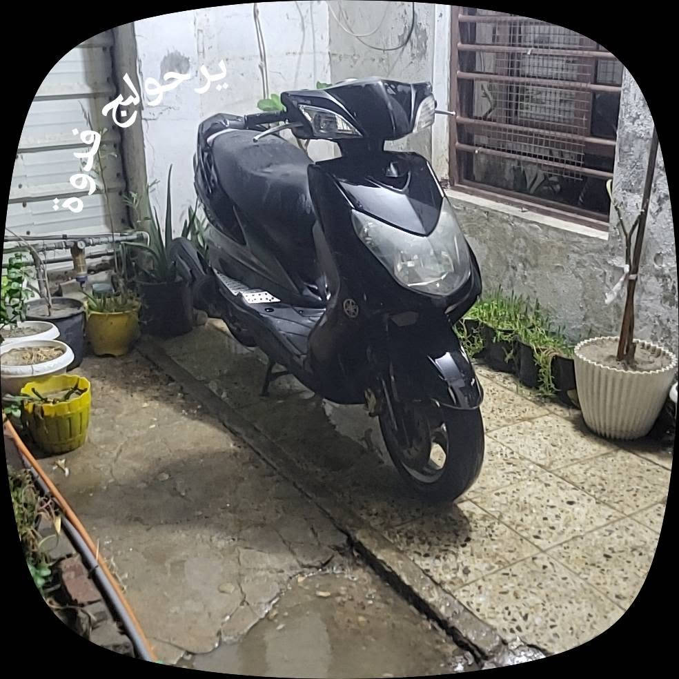 سكنس فحل • شعلة الرحمانية • بغداد