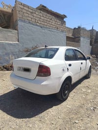 أفيو • ٢٠٠٦ • رقم اربيل
