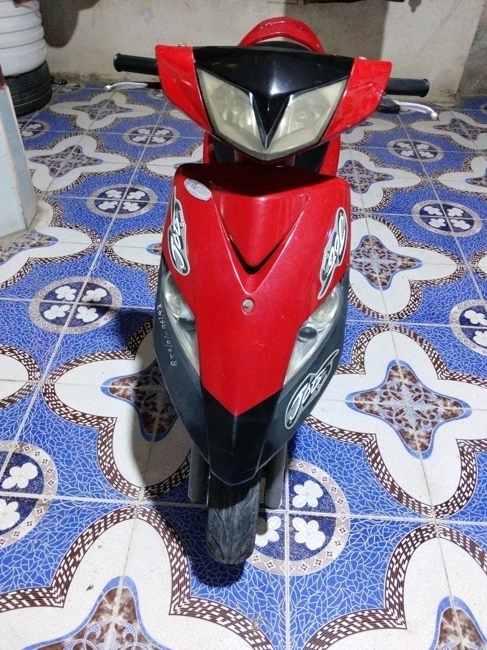 ثعلب • نضيفه • بصره