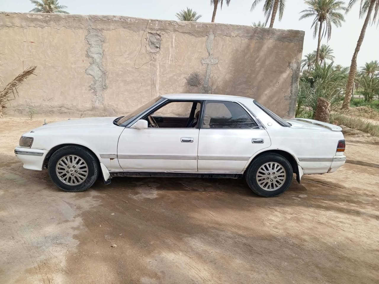 شيزر • ١٩٩٣ • الديوانية