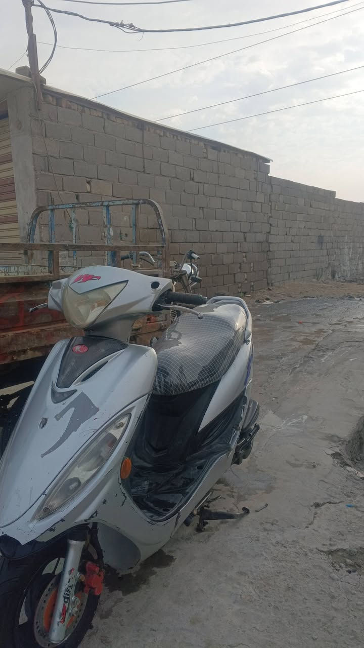 مراوس • سلف • نظيفه