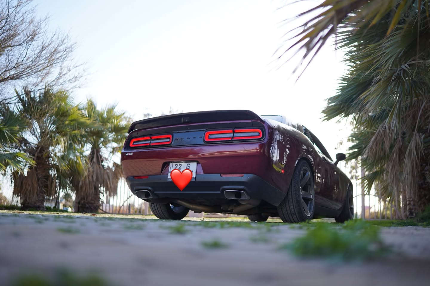 R/T V8 5.7
جالنجر ار تي 5.7 
موديل 2020 كلين تايتل 
سيارة صفر مسج 
ماشيه 52 فقط 
سياره على وضع الشركة ستوك 
دبات اسود 
كزوز بوابات بلادي 
وضعيات قياده 
شاشه جبيره 
شفتات ستيرن 
داخل احمر 
كشن كهرباء وحضن 
حساسات 
كامره دواره
ويل نجمه اصلي خفسه قويه 
كفر دركه RT وعندي SRT هم انطي وياها 
الشراي يتصل ويدلل 
***********
