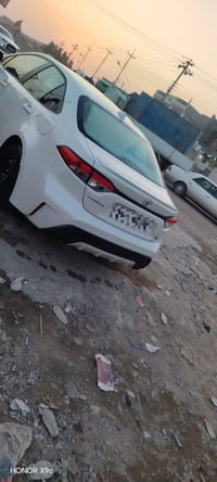 كورلا • ٢٠٢٠ • البصرة الزبير
