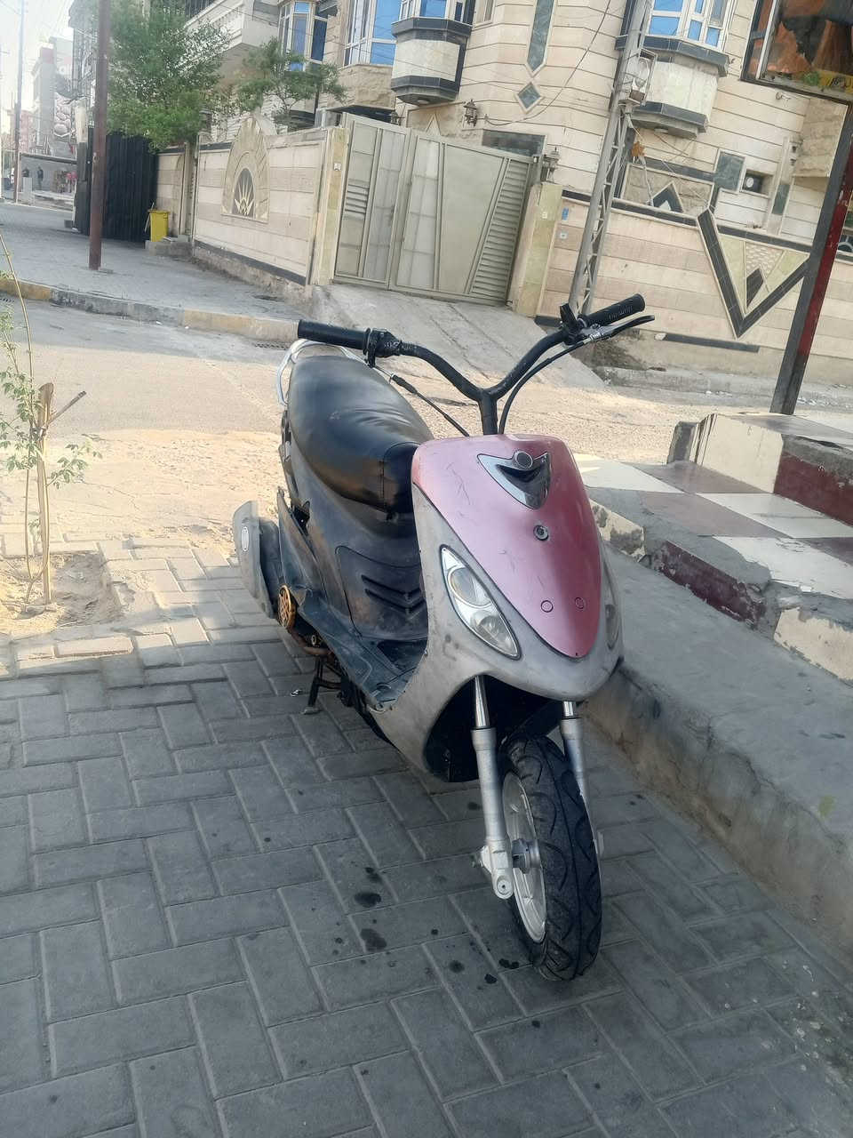 ماكس قجمه • مرتبه • ناعمه