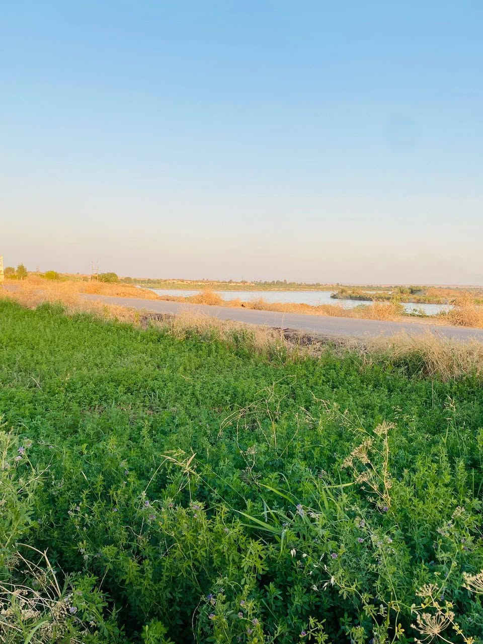 يوجد حشيش جت للبيع للاستفسار
***********
