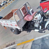 ستوته • موديل ٢١ • اوراق كامله