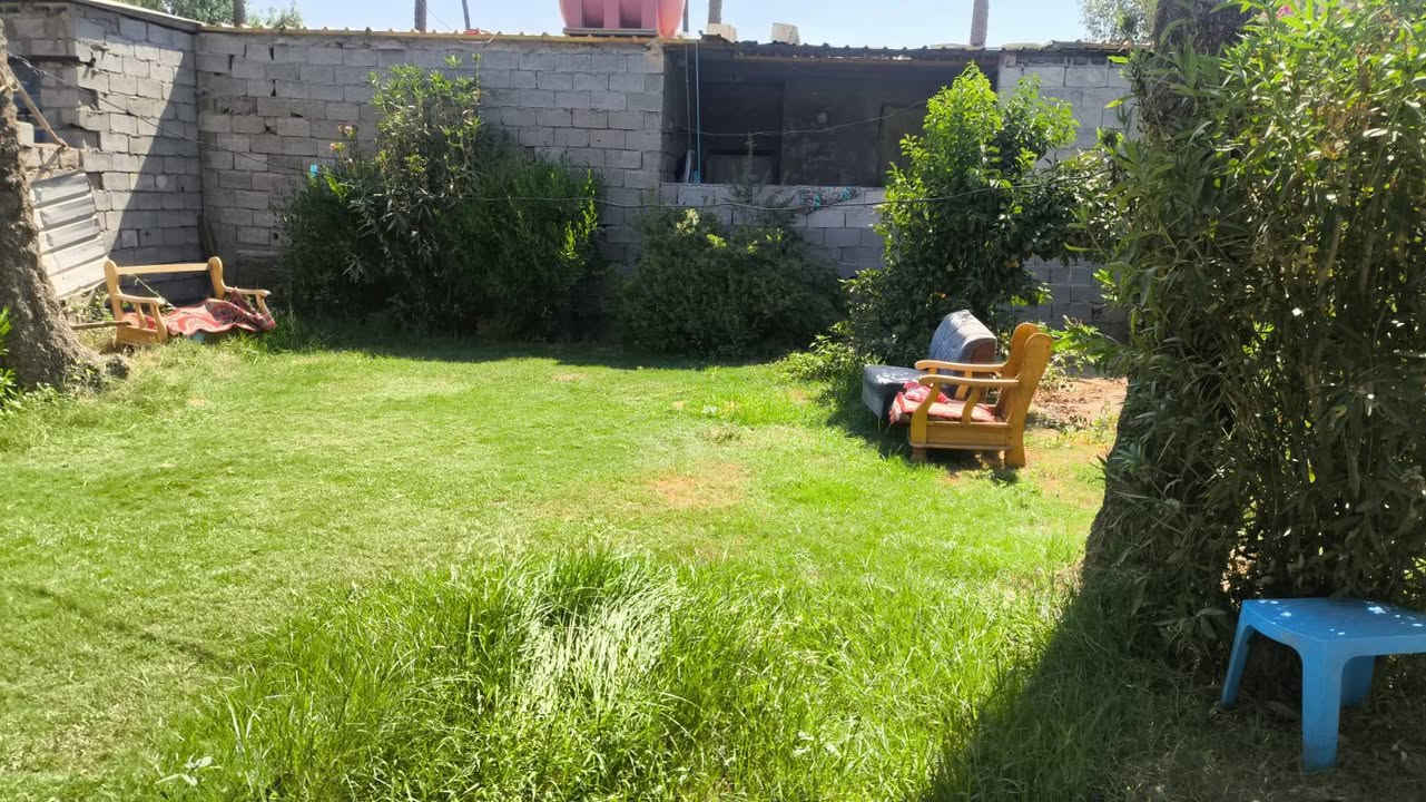 دار تجاوز للبيع الدوره شارع الكوخ خلف دور الساتذه 
 المساحه 400متر 
مساحه البناء 150متر 
غرفتين نوم +مطبخ +صاله +استقبال
 +حمام داخلي وخارجي سقف سندويش بنل 
السعر 22مليون وبي مجال 
للتصال *********** واتساب
