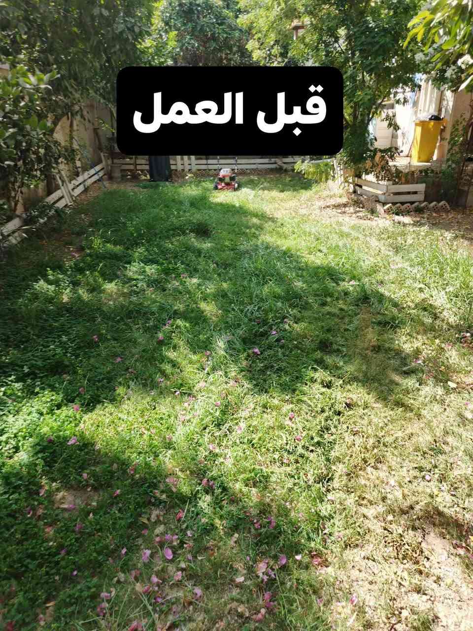 يا الله اللهم صلي على محمد وآل محمد
جانب من اعمالنا لهاذا اليوم في تنضيف وعمل كافه الحدائق ومستعدون ايضاً لجميع الأعمال الاستفسار اكثر الإتصال على *********** او مراسله الحساب علي الشمري

نص مكتوب في الصور:
- قبل العمل
- بعد العمل