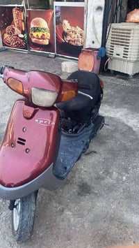 بطة • نضيفه • واتساب