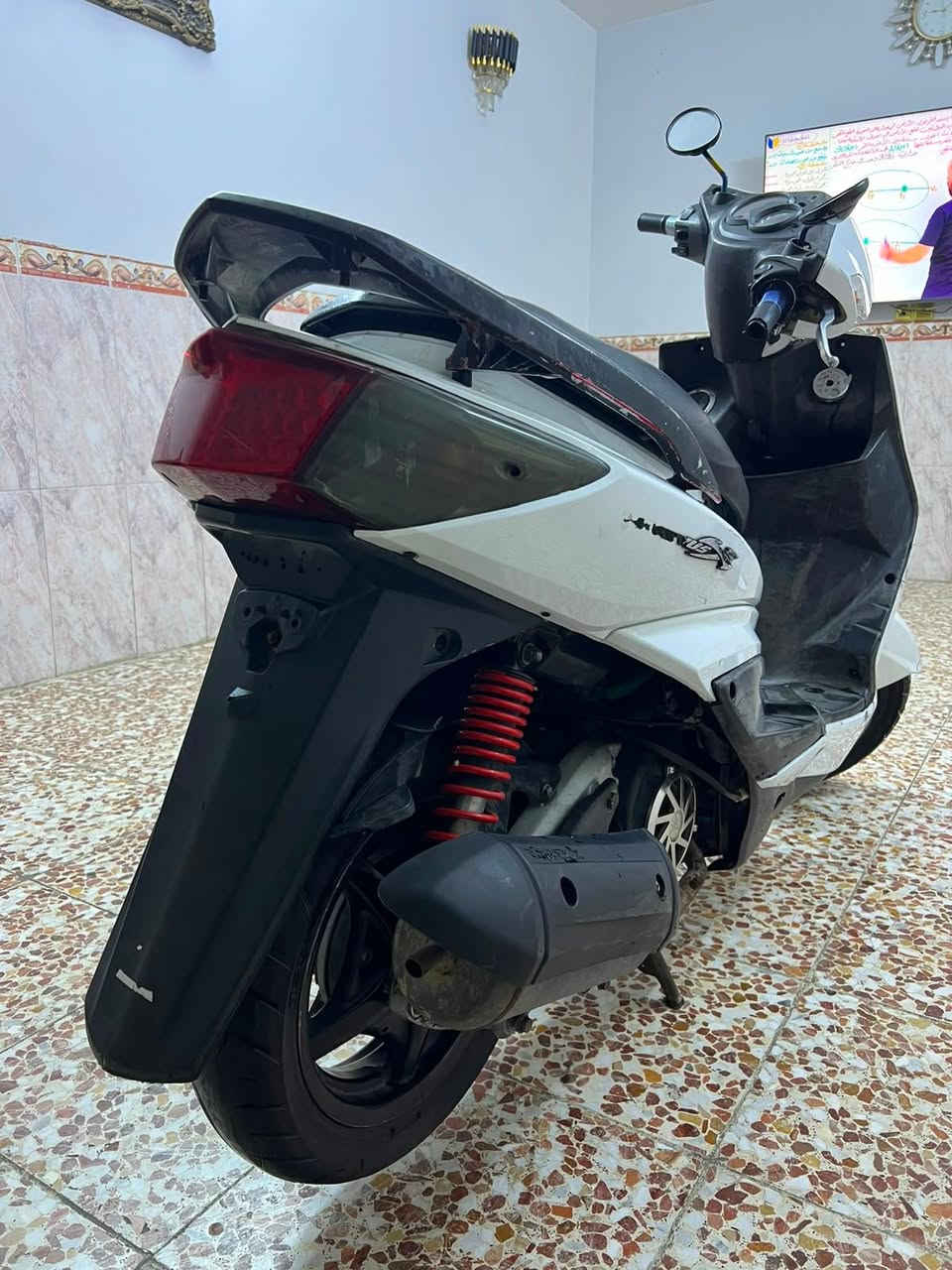 سكنس فحل نوزل للبيع كفرات بلادية كهربائيات كلهة شغالة شلع قلع الدراجة مال بيت وما متعبتني السعر 550 الاستفسار علة الرقم واتساب فقطط ***********
