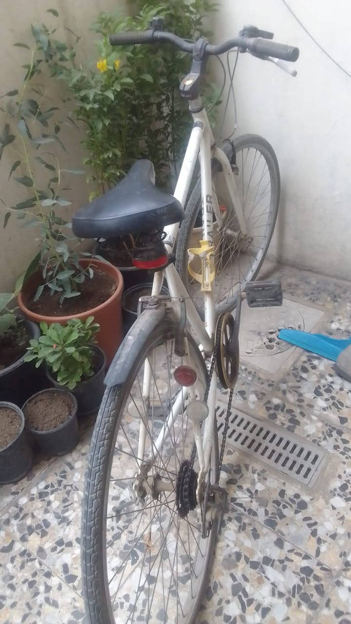 بايسكل ياباني • نظيف