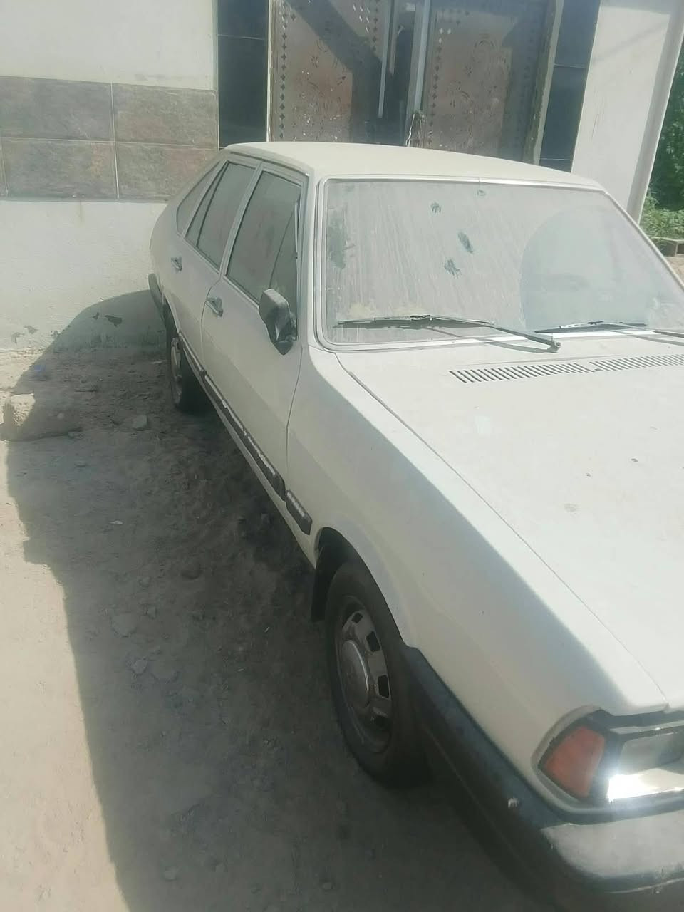 برازيلي • شغال • وكالة