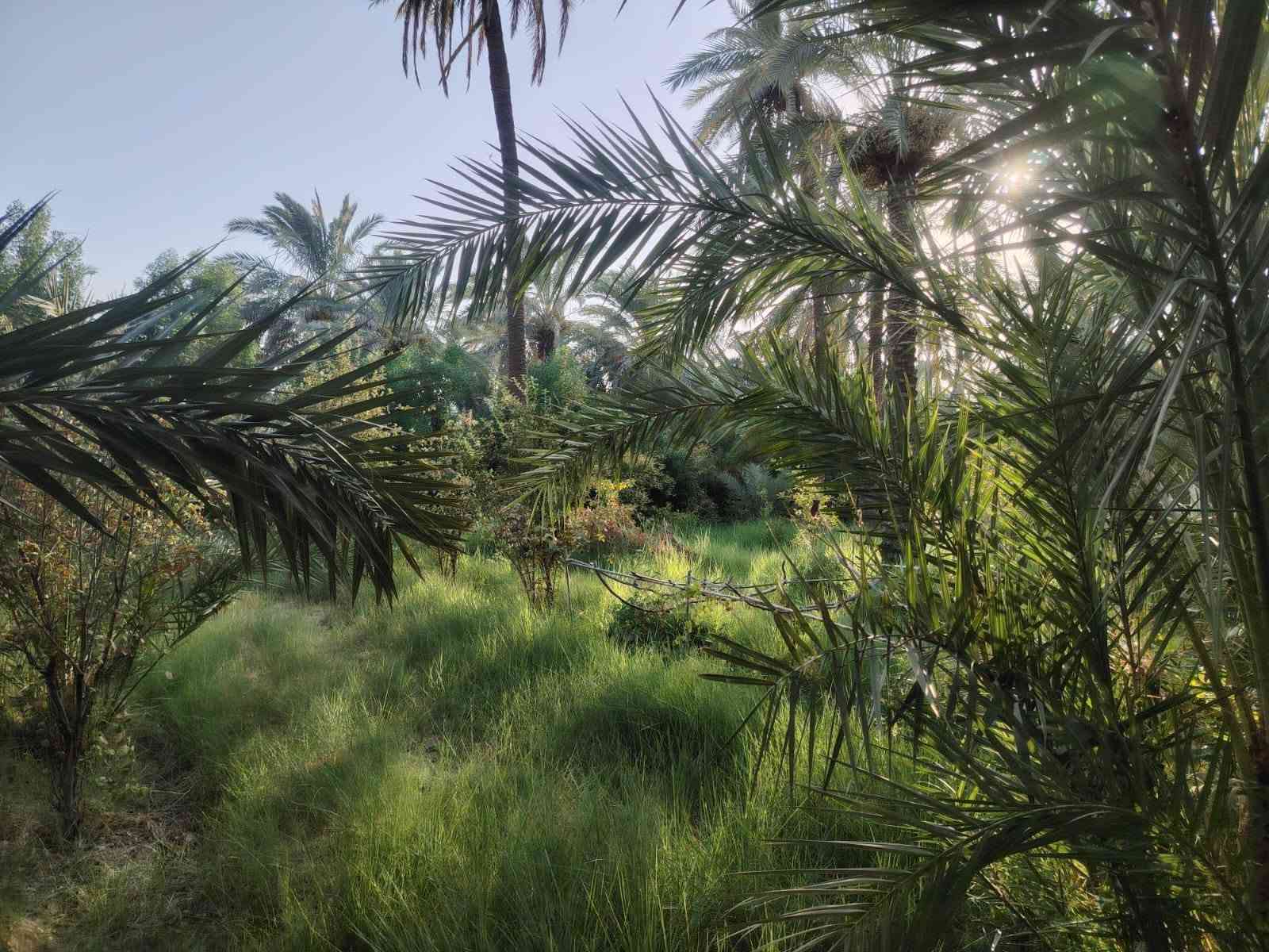 من رخصة الادمن 
للبيع...للبيع....للبيع 
دونمين طابو زراعي سند ٢٥تحويل مباشر شاطئيه بموقع مميز جدا  قرب معمل السمنت للاستفسار الاتصال على الأرقام 
***********
*********** او مراجعة مكتب دلهي مقابل مطعم البهار حي المعلمين الثانيه
