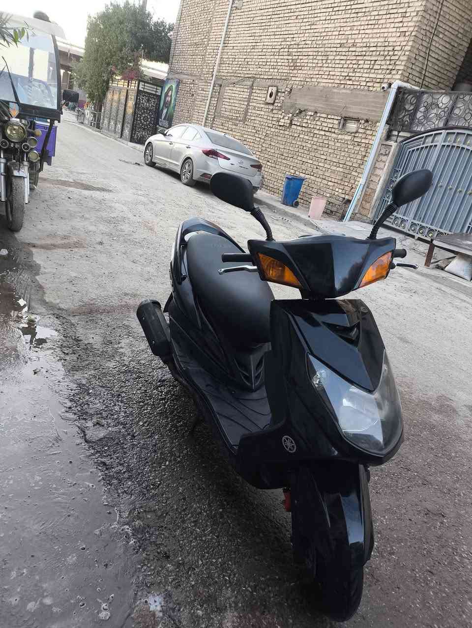 سكنس فحل • نظيفه • مكفوله