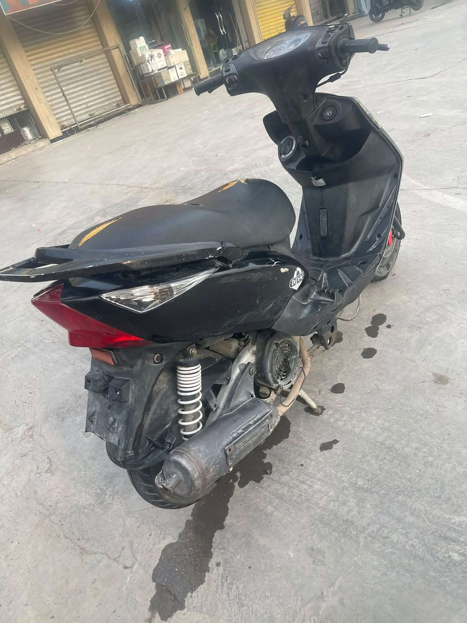ماكس ثعلب • نضيف • محرك مكفول