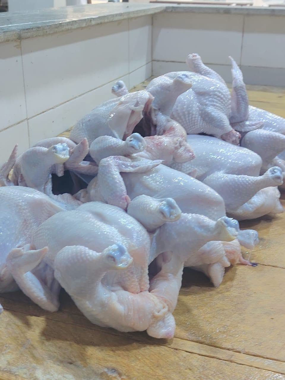 سمج حي • دجاج طازج • توصيل بسماية