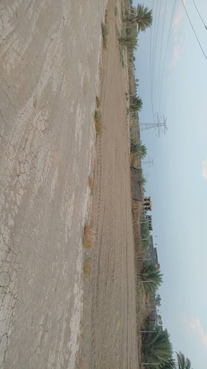 طابو زراعي • سند ٢٥ • ١٣٥٠م
