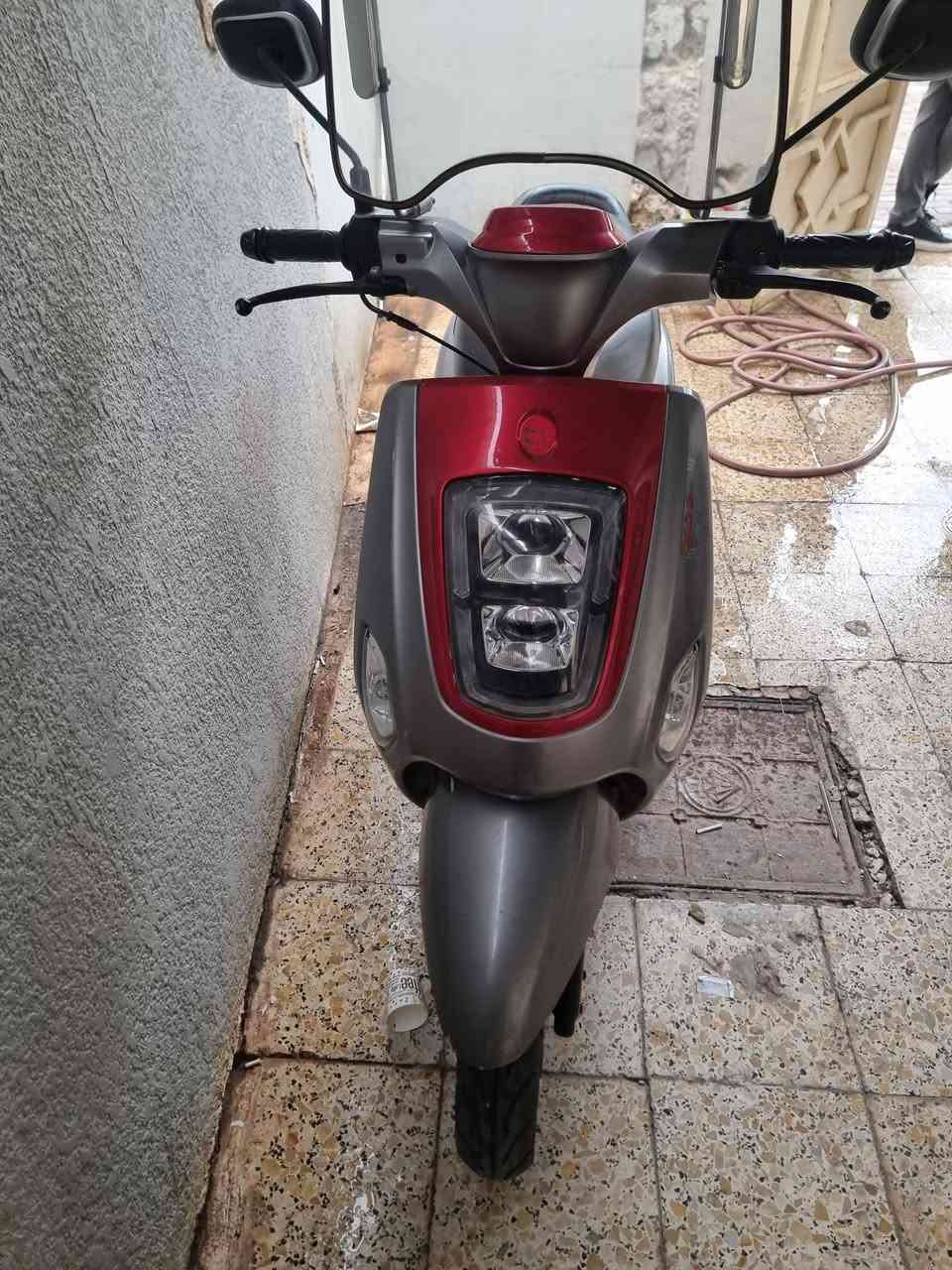 بوليسي • ٢٤ • ماطور