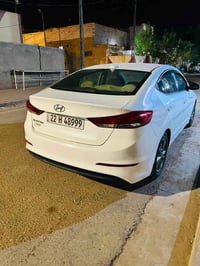 الانتره • ٢٠١٧ • ديوانيه