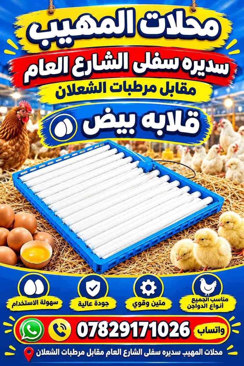 مواد متنوعه العنوان سديره سفلى الشارع العام مقابيل مرطبات الشعلان *********** واتساب

نص مكتوب في الصور:
- بشار ماطور ماء محلات المهيب سديره سفلي الشارع العام مقابل مرطبات الشعلان قطع غيار مضخات الماء جودة عالية .. سعر مناسب واتساب *********** سديره سفلي الشارع العام مقاليل مرطبات الشعلان
- محلات المهيب
- سديره سفلى الشارع العام مقابل مرطبات الشعلان
- واتساب ***********
- WADFOW
- سكوايره
- ثقيل
- أحجام
- جودة عالية
- متانة وقوة
- مناسب للحديد والخشب وغيرها
- للكشب
- للحديد
- للمواد المختلفة
- مناسب للاعمال الثقيلة
- *********** | سديره سفلى الشارع العام مقابل مرطبات الشعلان
- واتساب
- قفل صندوق فقاسه محلات المهيب سديره سفلي الشارع العام مقابل مرطبات الشعلان قفل قوي وآمن سهل التركيب والاستخدام معدن مجلفن مقاوم للصدأ مناسب للأبواب والصناق مناسب لجميع الأبواب والصناق يتوفر لدينا جميع المحاحقات على الأبواب الحديدية على الأبواب الخشبية على الصناديق والمناديق *********** واتساب للتواصل والاستفسار محلات المهيب سديره سفلي الشارع العام مقابل مرطبات الشعلان
- سديره سفلى الشارع العام
- مقابل مرطبات الشعلان
- مقياس حرارة
- فقاسه
- دقة عالية في القياس
- تحكم بدرجة الحرارة
- سهل التركيب والإستخدام
- مناسب لمختلف التطبيقات
- جودة مضمونة
- مدى القياس
- -50°C إلى 110°C
- تحكم التبريد والتدفئة
- شاشة رقمية واضحة
- استخدامات متعددة
- (ثلاجات - حضانات - أفقاص)
- توفير في الطاقة
- محلات المهيب سديره سفلى الشارع العام مقابل مرطبات الشعلان
- قلابه بيض
- سهولة الاستخدام
- متين وقوي
- مناسب الجميع أنواع الدواجن
- *********** واتساب